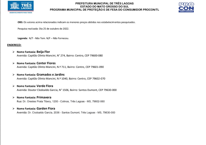 Veja a pesquisa do PROCON TL que mostra os preços de flores e velas para o Dia de Finados