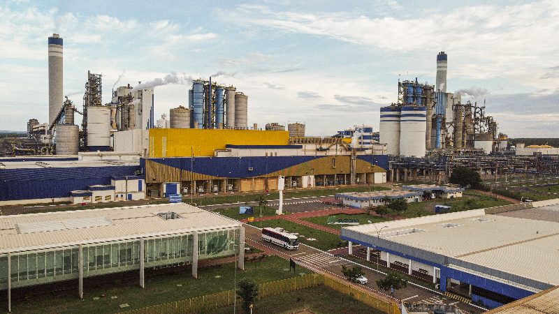 CELULOSE: MS vai ficar com R$ 34 bilhões dos 60,4 bilhões investidos do setor no Brasil CELULOSE: MS vai ficar com R$ 34 bilhões dos 60,4 bilhões investidos do setor no Brasil