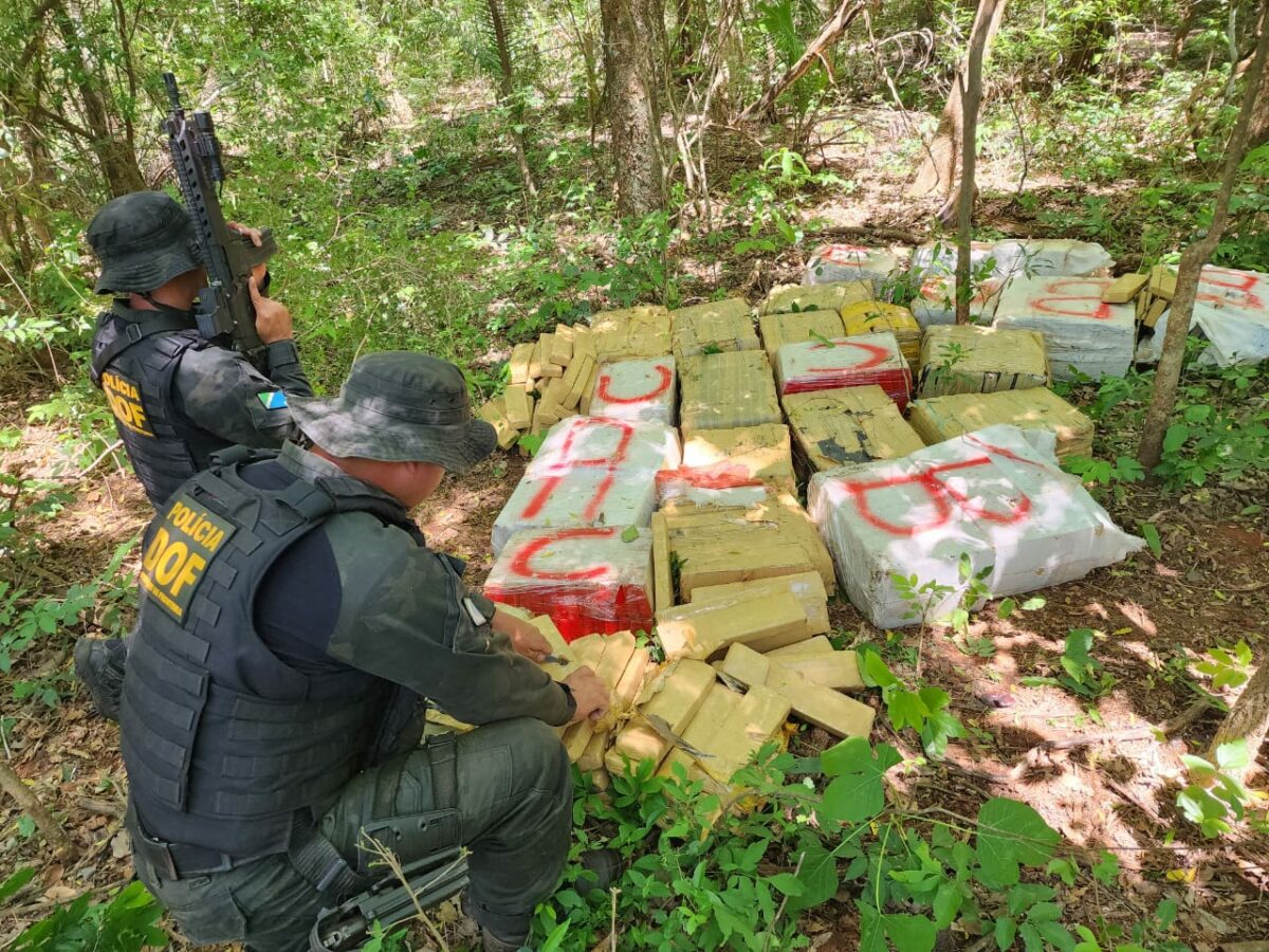 DOF apreende mais de 670 quilos de droga em meio a mata