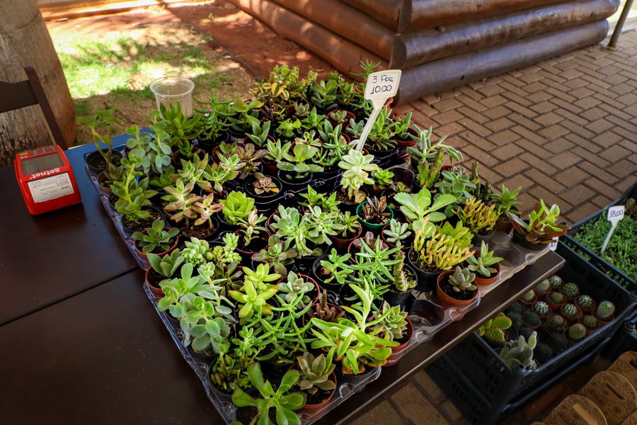 Dia das Crianças – Festividades promovida Prefeitura reúnem cerca de 8 mil pessoas