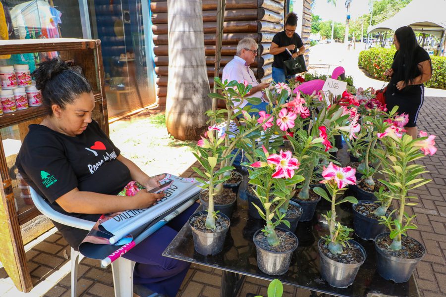 Dia das Crianças – Festividades promovida Prefeitura reúnem cerca de 8 mil pessoas