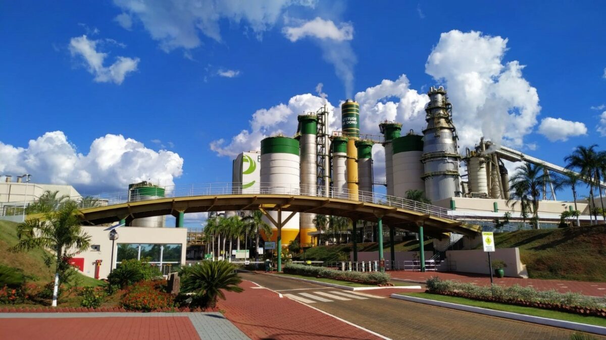 CELULOSE: MS vai ficar com R$ 34 bilhões dos 60,4 bilhões investidos do setor no Brasil CELULOSE: MS vai ficar com R$ 34 bilhões dos 60,4 bilhões investidos do setor no Brasil