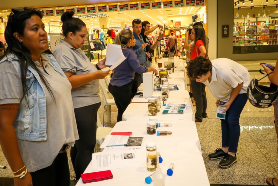 Cerca de 300 pessoas prestigiaram Tenda Educativa da SMS e UFMS no Shopping Três Lagoas Cerca de 300 pessoas prestigiaram Tenda Educativa da SMS e UFMS no Shopping Três Lagoas