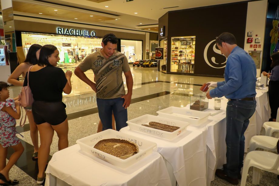 Cerca de 300 pessoas prestigiaram Tenda Educativa da SMS e UFMS no Shopping Três Lagoas Cerca de 300 pessoas prestigiaram Tenda Educativa da SMS e UFMS no Shopping Três Lagoas