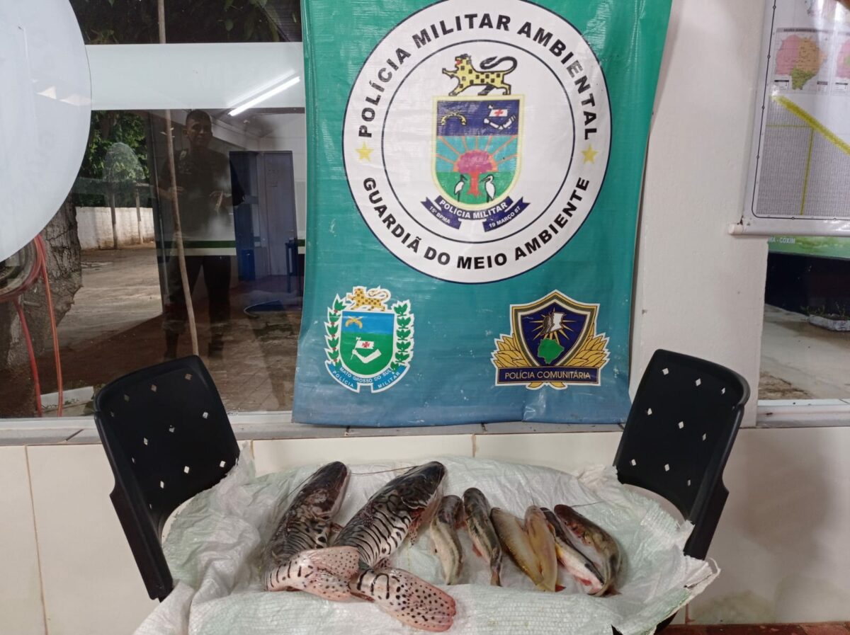 PMA e Imasul deflagram a operação piracema 2022/2023 em Mato Grosso do Sul PMA e Imasul deflagram a operação piracema 2022/2023 em Mato Grosso do Sul