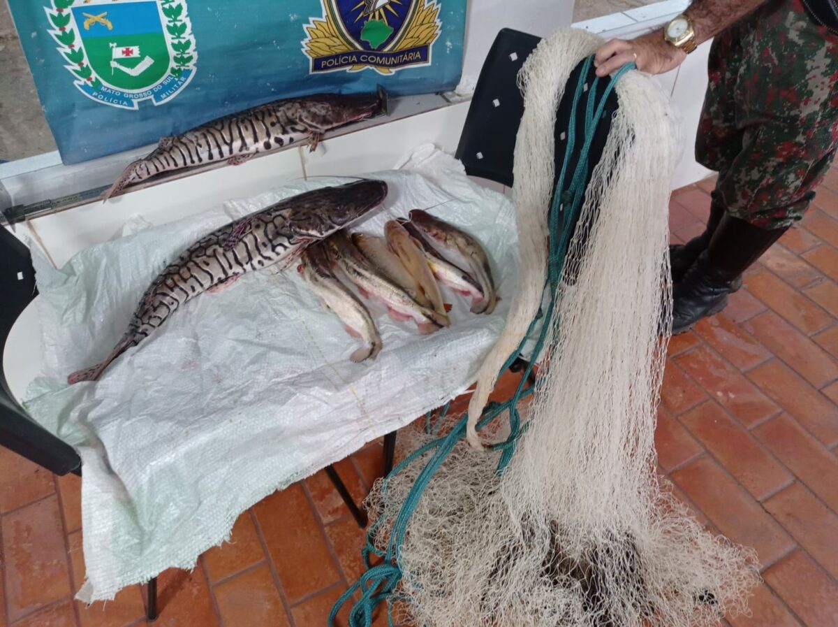 PMA e Imasul deflagram a operação piracema 2022/2023 em Mato Grosso do Sul PMA e Imasul deflagram a operação piracema 2022/2023 em Mato Grosso do Sul