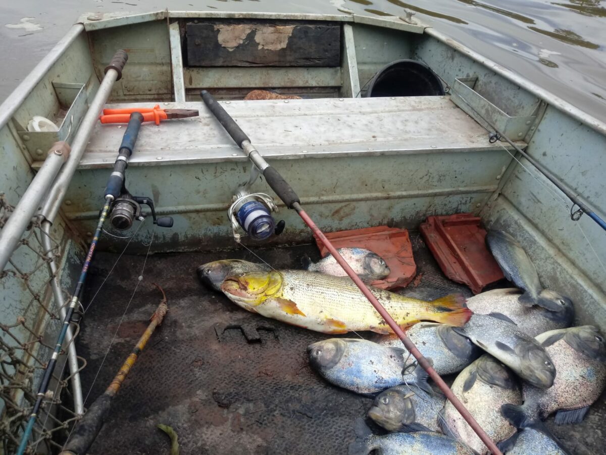 PMA e Imasul deflagram a operação piracema 2022/2023 em Mato Grosso do Sul PMA e Imasul deflagram a operação piracema 2022/2023 em Mato Grosso do Sul