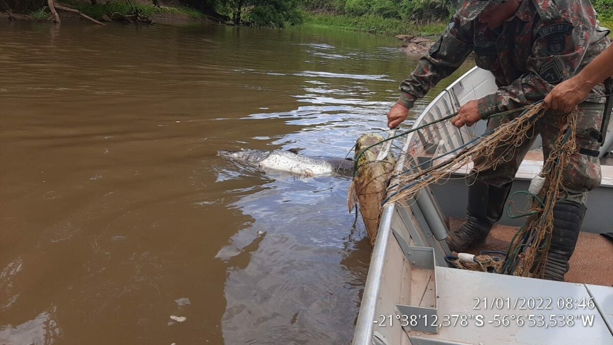 PMA e Imasul deflagram a operação piracema 2022/2023 em Mato Grosso do Sul PMA e Imasul deflagram a operação piracema 2022/2023 em Mato Grosso do Sul