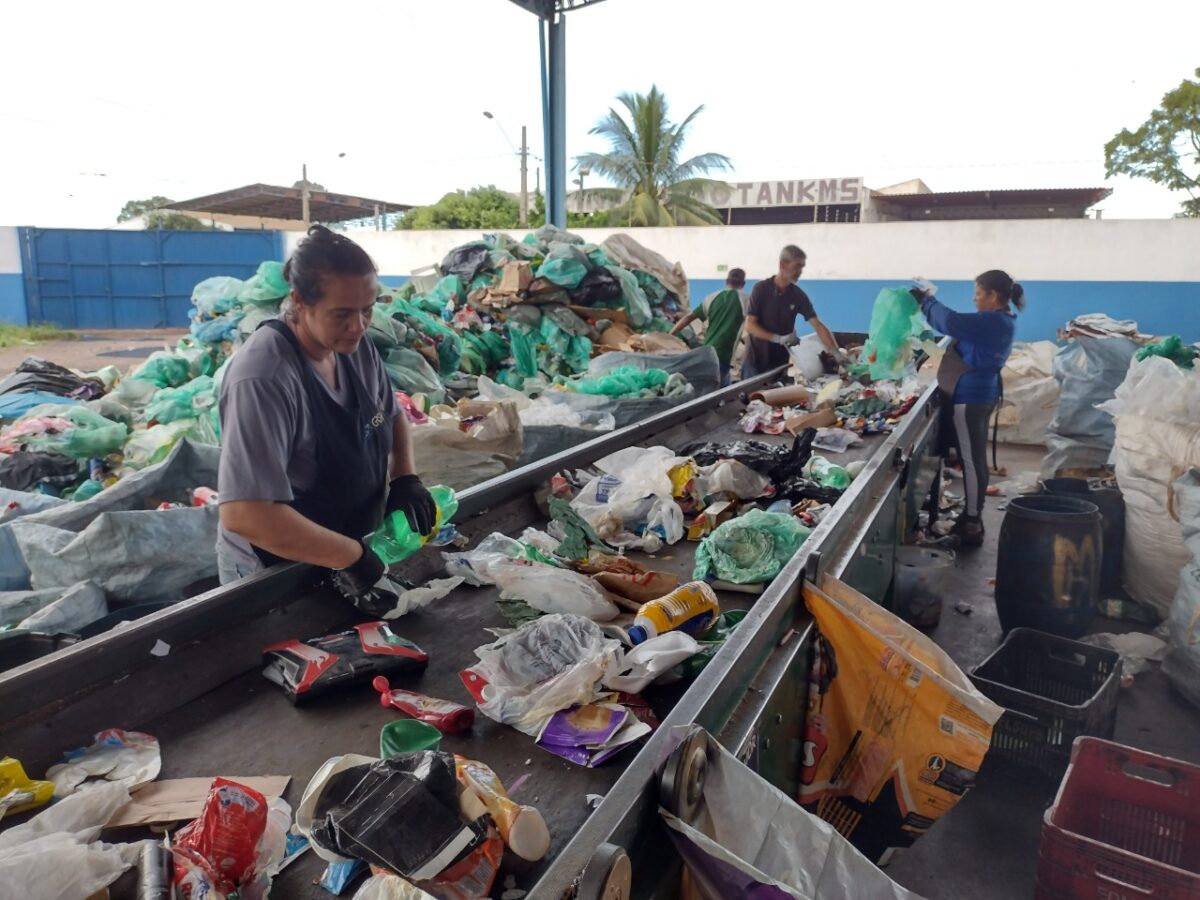 <strong>Com apoio da Suzano, Cooperativa Arara Azul fecha o ano com incremento de 22% na renda média das famílias</strong>