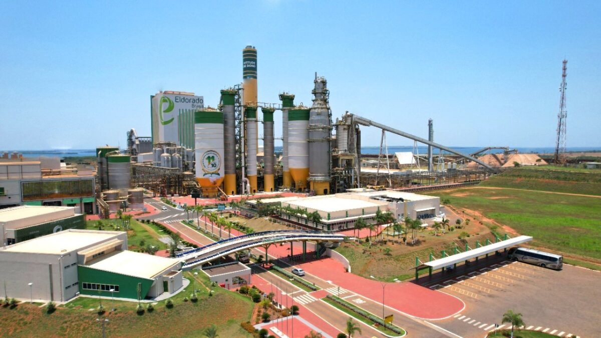 Batendo recordes, Diretor Técnico da Eldorado Brasil comenta sobre sucesso da empresa Batendo recordes, Diretor Técnico da Eldorado Brasil comenta sobre sucesso da empresa