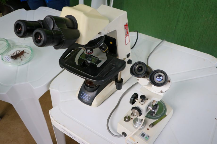 SMS e SEMEC promovem ação de combate ao Aedes aegypti na Vila Piloto