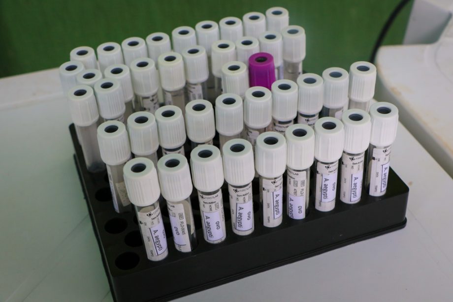 SMS e SEMEC promovem ação de combate ao Aedes aegypti na Vila Piloto
