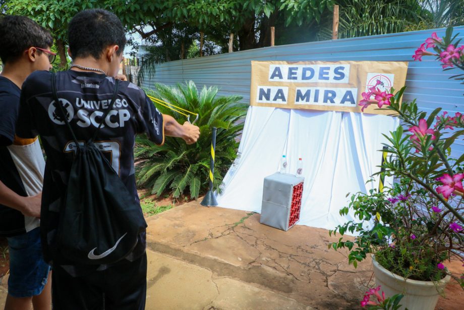 SMS e SEMEC promovem ação de combate ao Aedes aegypti na Vila Piloto