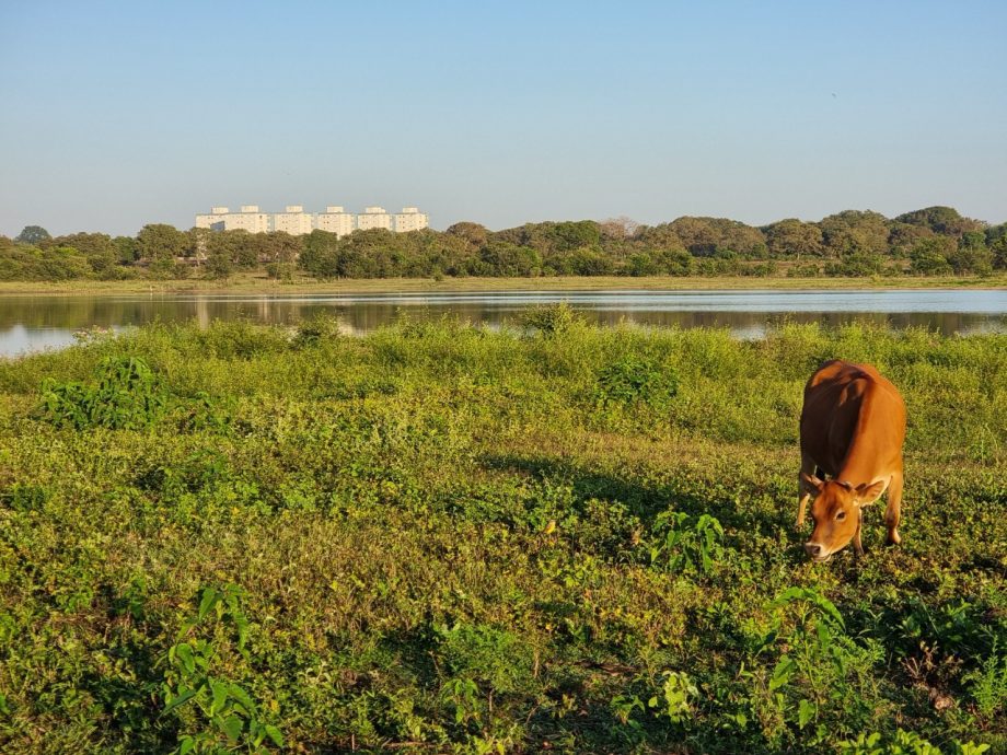 IDMEAMS e SEDECT entregaram premiação do concurso de fotografia “Paisagens Turísticas de Nossa Terra”