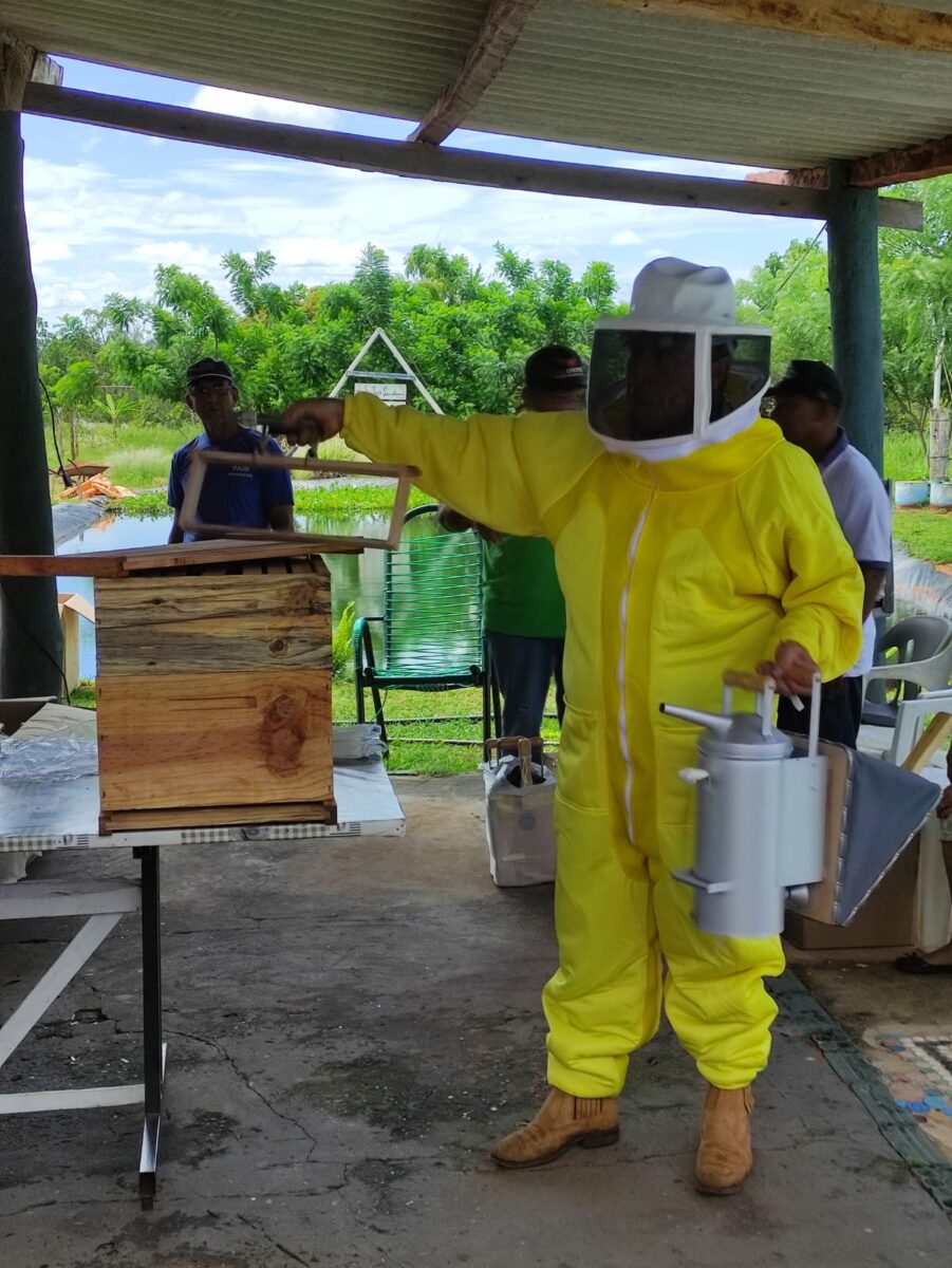 Iniciativa da Suzano incentiva a produção de mel para geração de trabalho e renda em Ribas do Rio Pardo