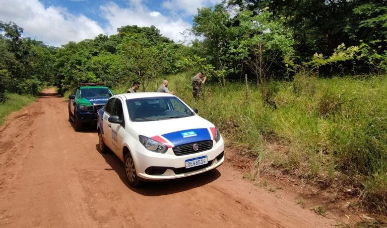 Morre Tamanduá Bandeira resgatado após ficar preso em armadilha na Cascalheira