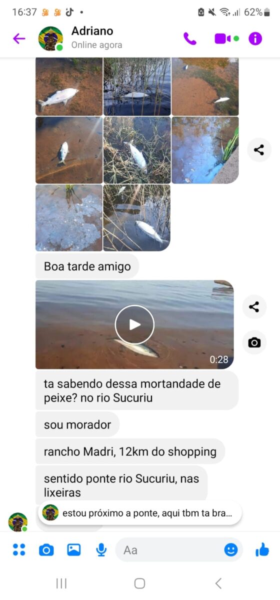 Mortandade de peixes nos rios de Três Lagoas já abala turismo da cidade Mortandade de peixes nos rios de Três Lagoas já abala turismo da cidade