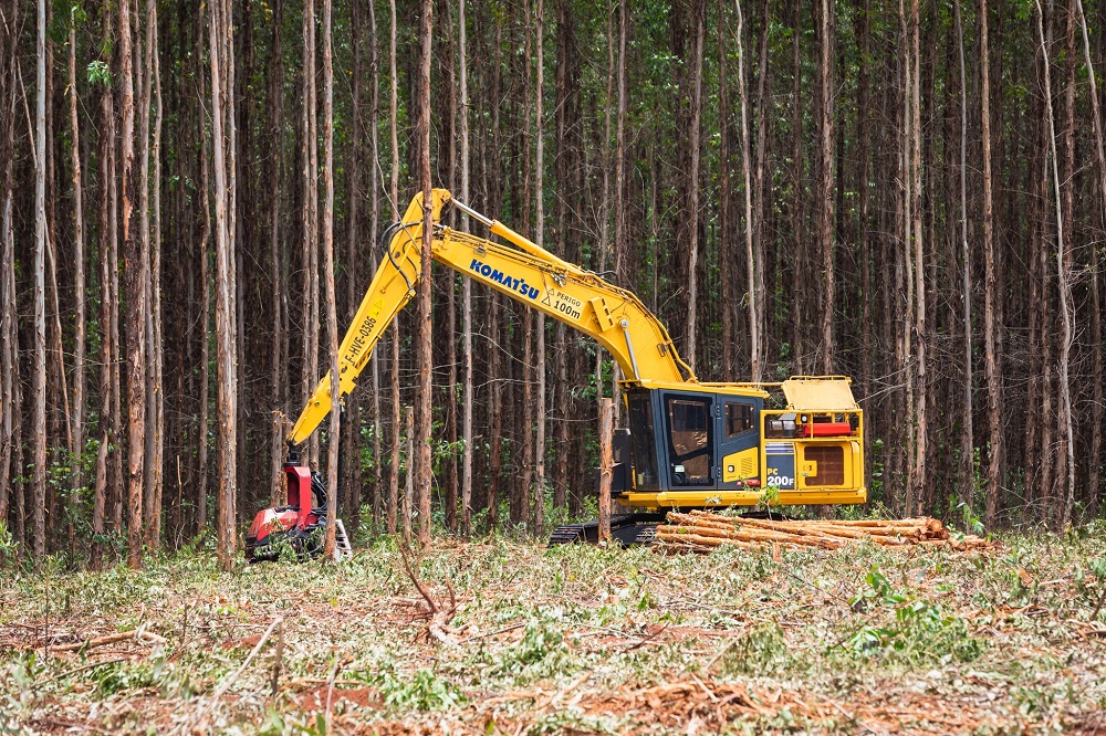 <strong>Inscrições para curso com 80 vagas em Mecânica de Máquinas Florestais da Suzano se encerram na próxima semana</strong> <strong>Inscrições para curso com 80 vagas em Mecânica de Máquinas Florestais da Suzano se encerram na próxima semana</strong>