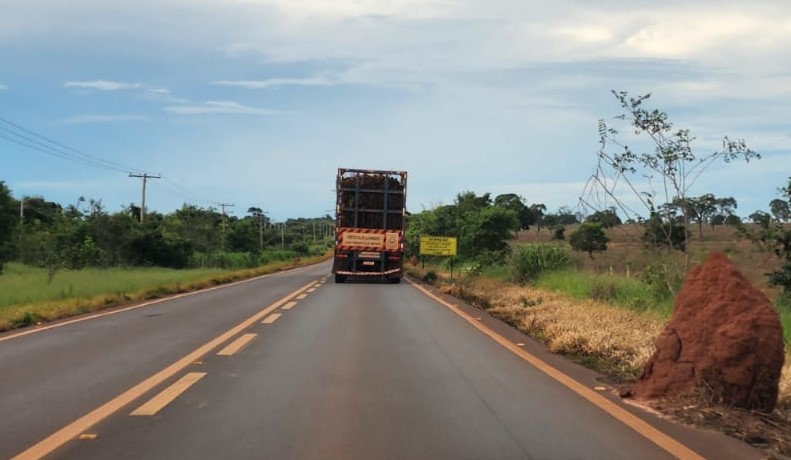 Mesmo após dois motoristas morrerem em colisão de carretas, BR-158 segue 'esquecida' Mesmo após dois motoristas morrerem em colisão de carretas, BR-158 segue 'esquecida'