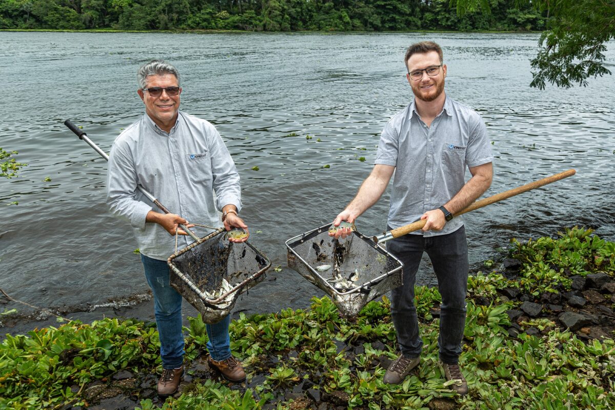 <strong>CTG Brasil solta mais de 1 milhão de peixes no rio Paraná</strong>
