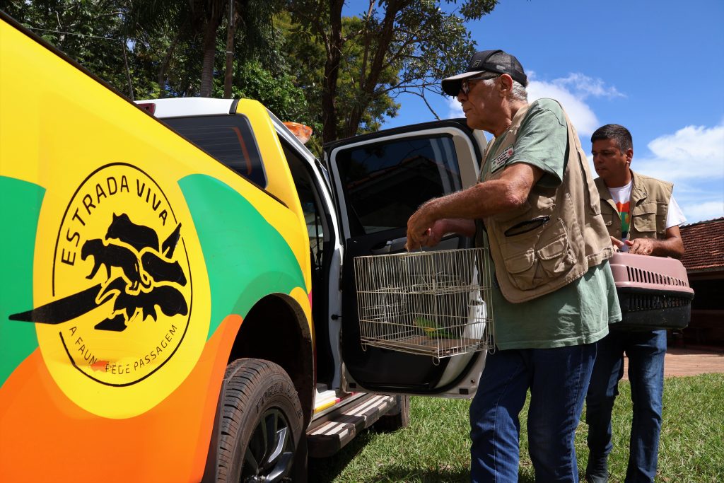 Programa Estrada Viva monitora rodovias estaduais e propõe adaptações para segurança da fauna Programa Estrada Viva monitora rodovias estaduais e propõe adaptações para segurança da fauna
