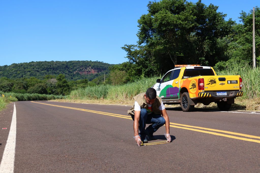 Programa Estrada Viva monitora rodovias estaduais e propõe adaptações para segurança da fauna Programa Estrada Viva monitora rodovias estaduais e propõe adaptações para segurança da fauna