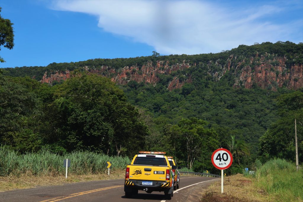 Programa Estrada Viva monitora rodovias estaduais e propõe adaptações para segurança da fauna Programa Estrada Viva monitora rodovias estaduais e propõe adaptações para segurança da fauna