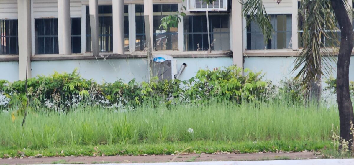 TERRENO SUJO: Prefeitura de Três Lagoas coloca sete fiscais nas ruas para notificar donos de imóveis