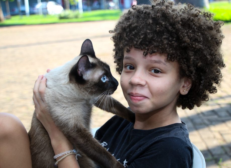 Projeto Protetoras em Ação e CCZ promoveu mais de 620 procedimentos em pets no sábado (25) Projeto Protetoras em Ação e CCZ promoveu mais de 620 procedimentos em pets no sábado (25)