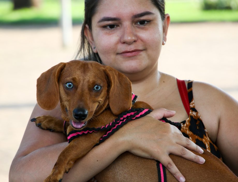 Projeto Protetoras em Ação e CCZ promoveu mais de 620 procedimentos em pets no sábado (25) Projeto Protetoras em Ação e CCZ promoveu mais de 620 procedimentos em pets no sábado (25)