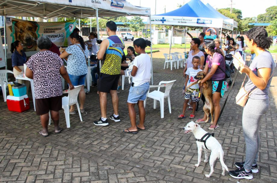 Projeto Protetoras em Ação e CCZ promoveu mais de 620 procedimentos em pets no sábado (25) Projeto Protetoras em Ação e CCZ promoveu mais de 620 procedimentos em pets no sábado (25)