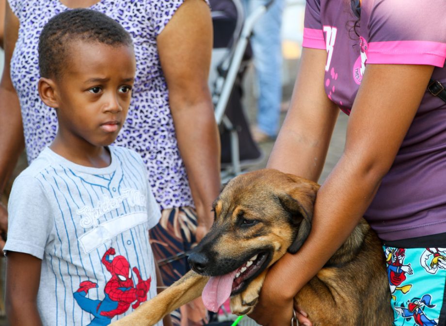 Projeto Protetoras em Ação e CCZ promoveu mais de 620 procedimentos em pets no sábado (25) Projeto Protetoras em Ação e CCZ promoveu mais de 620 procedimentos em pets no sábado (25)