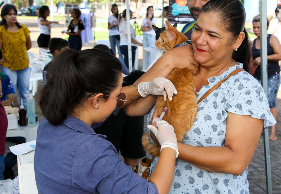 Projeto Protetoras em Ação e CCZ promoveu mais de 620 procedimentos em pets no sábado (25) Projeto Protetoras em Ação e CCZ promoveu mais de 620 procedimentos em pets no sábado (25)