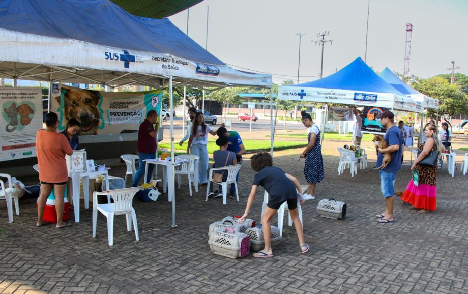 Projeto Protetoras em Ação e CCZ promoveu mais de 620 procedimentos em pets no sábado (25) Projeto Protetoras em Ação e CCZ promoveu mais de 620 procedimentos em pets no sábado (25)