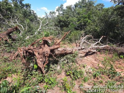 PMA de Três Lagoas autua dono de sítio em R$ 10,6 mil por extração ilegal de minério de arenito sem licença ambiental