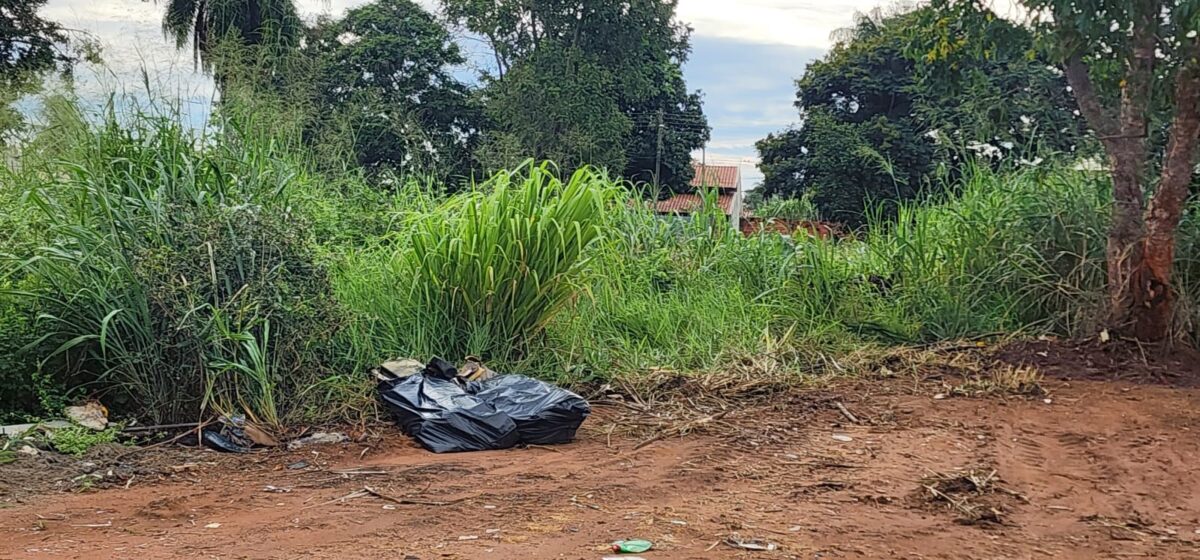 TERRENO SUJO: Prefeitura de Três Lagoas coloca sete fiscais nas ruas para notificar donos de imóveis