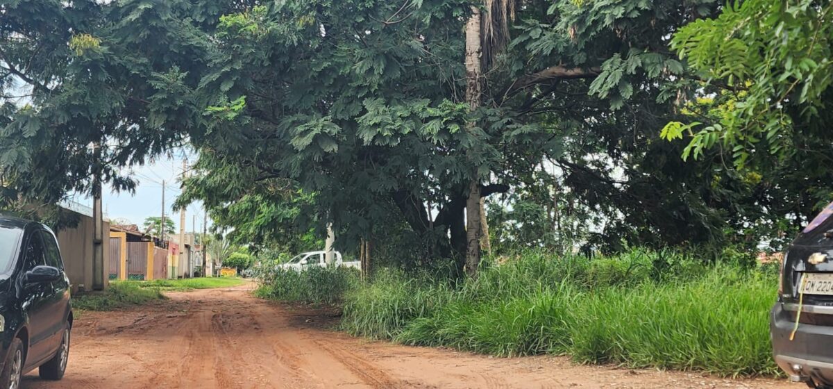 TERRENO SUJO: Prefeitura de Três Lagoas coloca sete fiscais nas ruas para notificar donos de imóveis