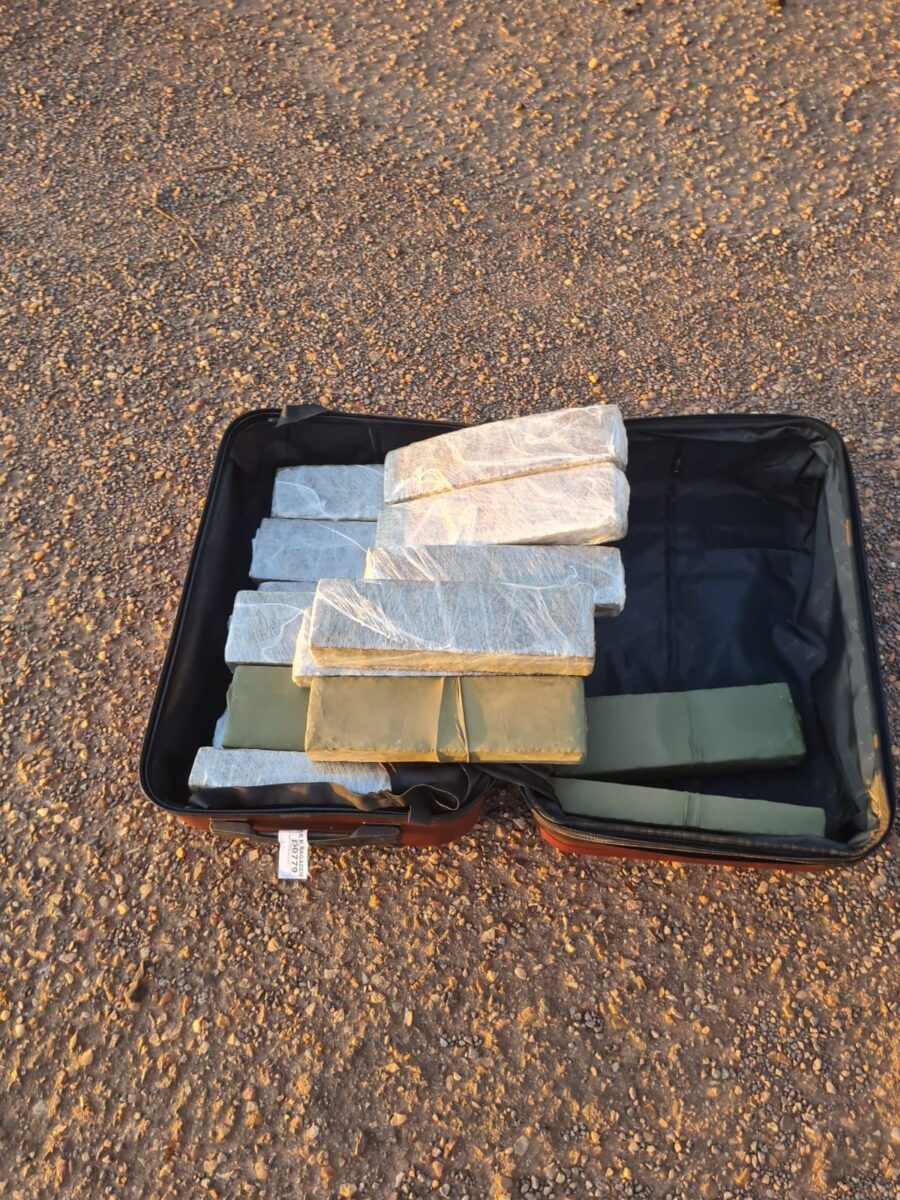 Polícia Federal apreende 32 quilos de maconha em ação com cães na BR-262