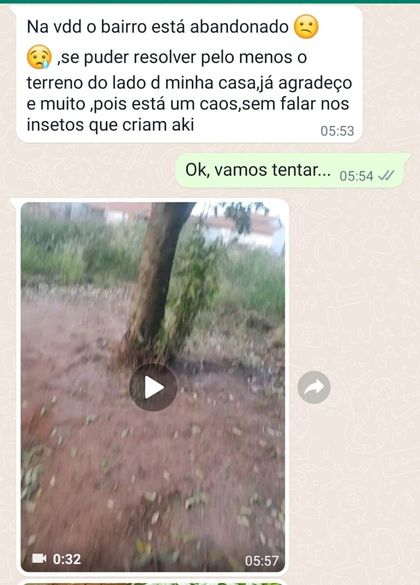 TERRENO SUJO: Prefeitura de Três Lagoas coloca sete fiscais nas ruas para notificar donos de imóveis