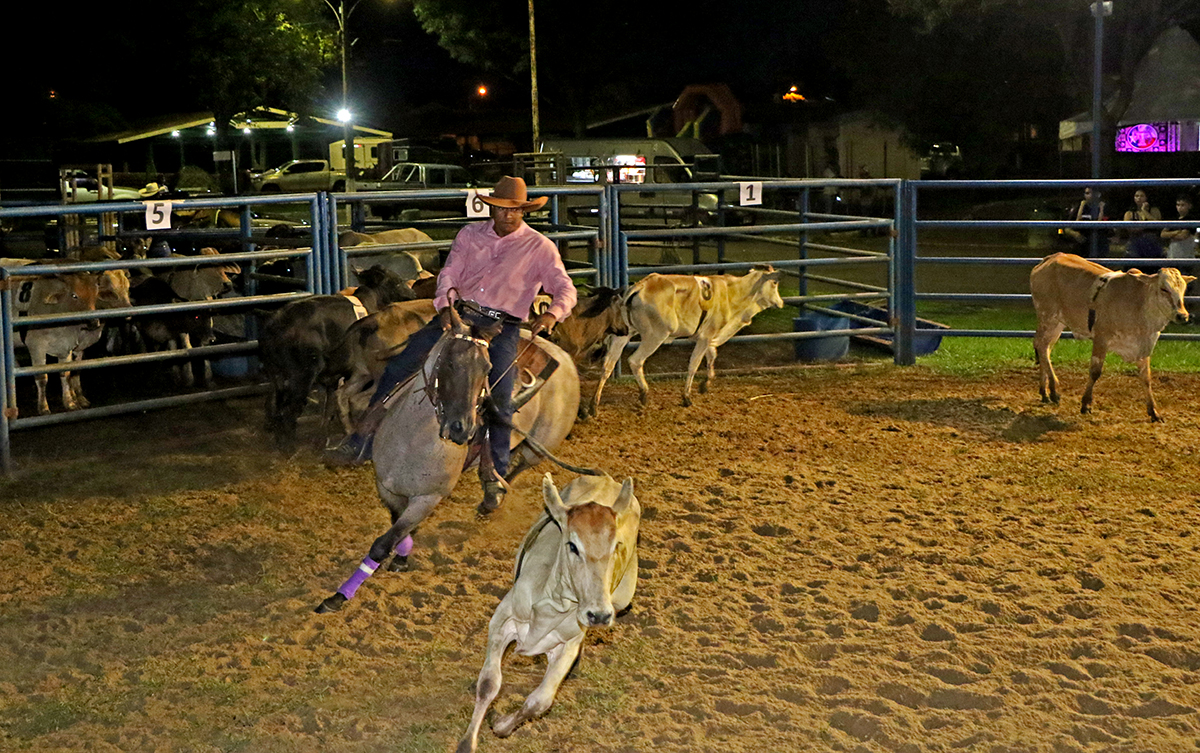 <strong>1º Ranch Sorting Estância Rebucci 2023 acontece neste sábado (29) em Três Lagoas</strong> <strong>1º Ranch Sorting Estância Rebucci 2023 acontece neste sábado (29) em Três Lagoas</strong>