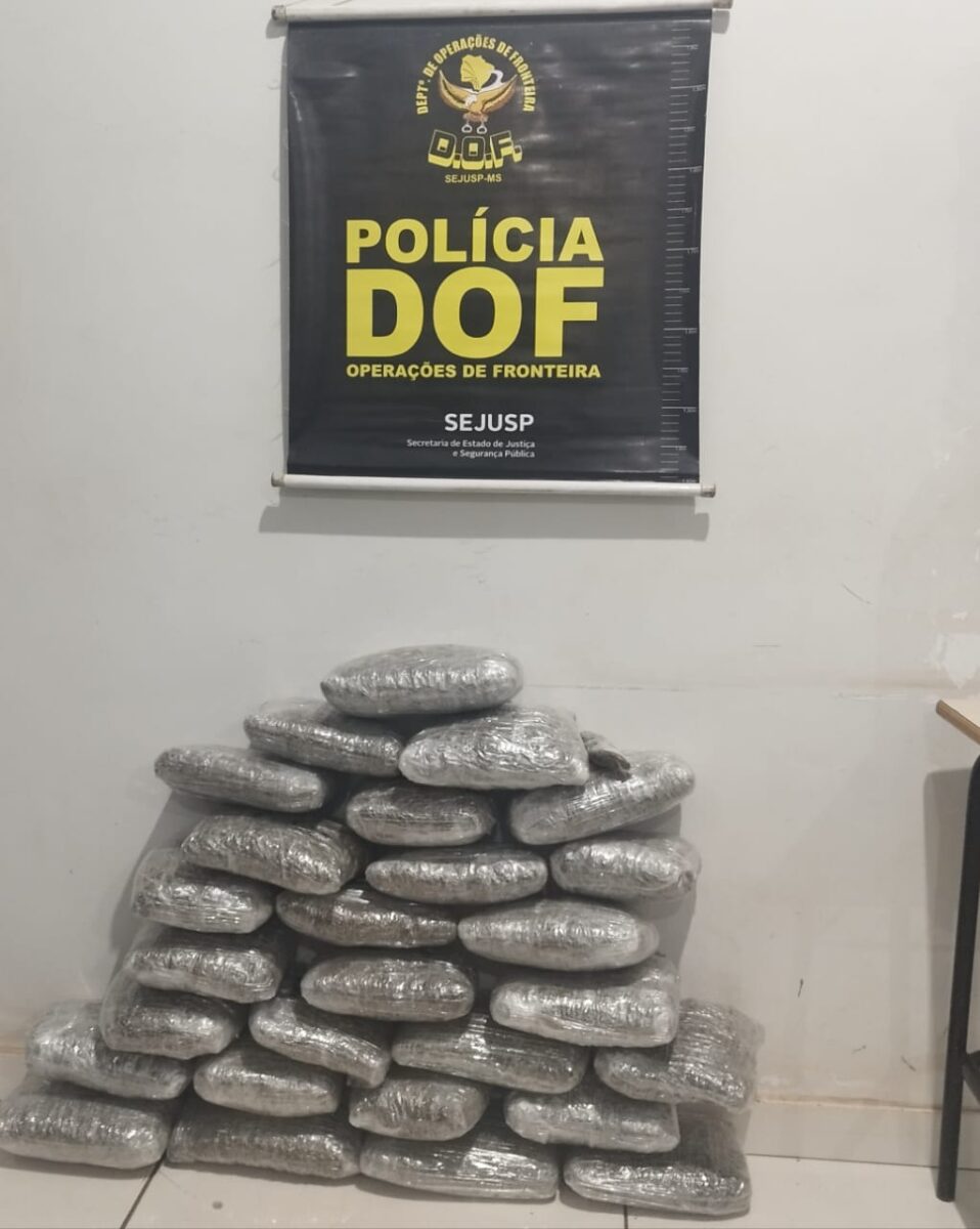 DOF apreende droga que seria comercializada em MS DOF apreende droga que seria comercializada em MS