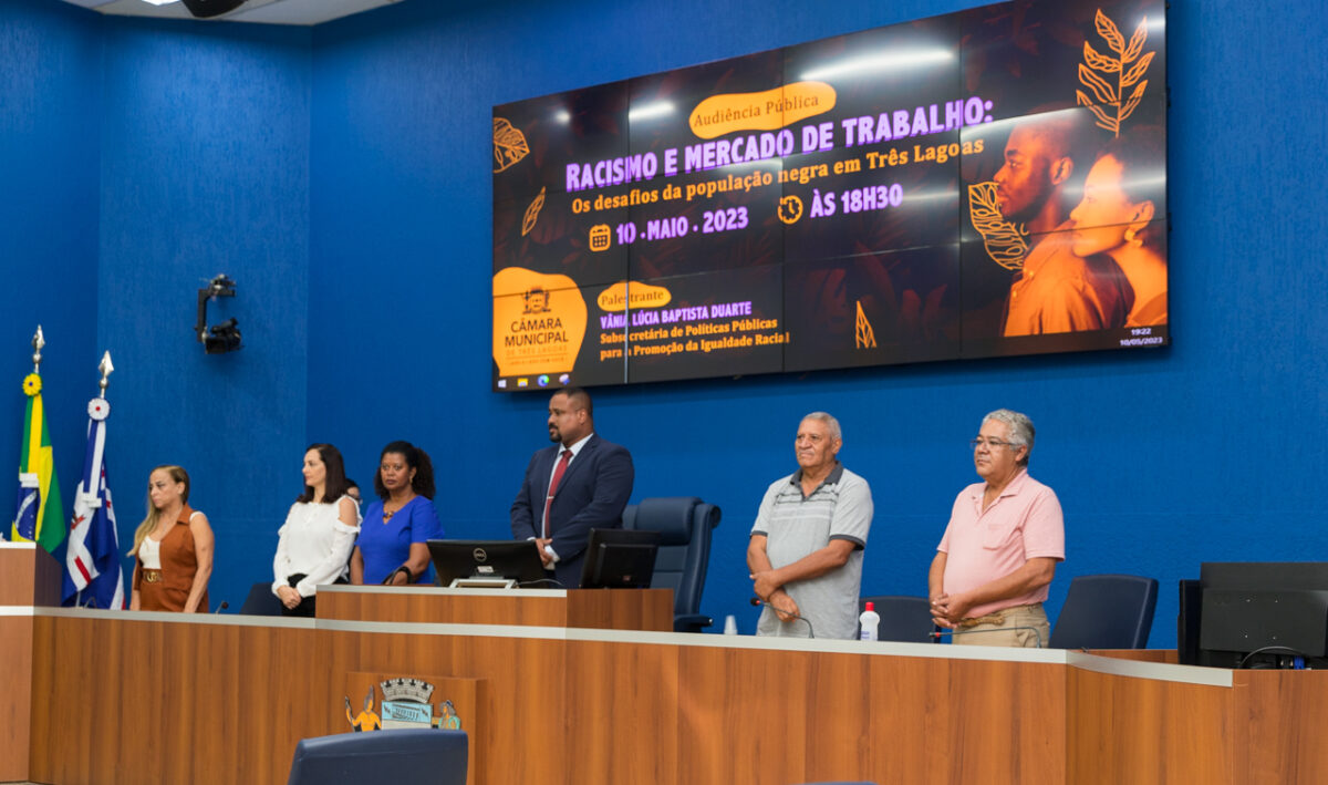 Racismo e mercado de trabalho em pauta durante audiência pública na Câmara Racismo e mercado de trabalho em pauta durante audiência pública na Câmara