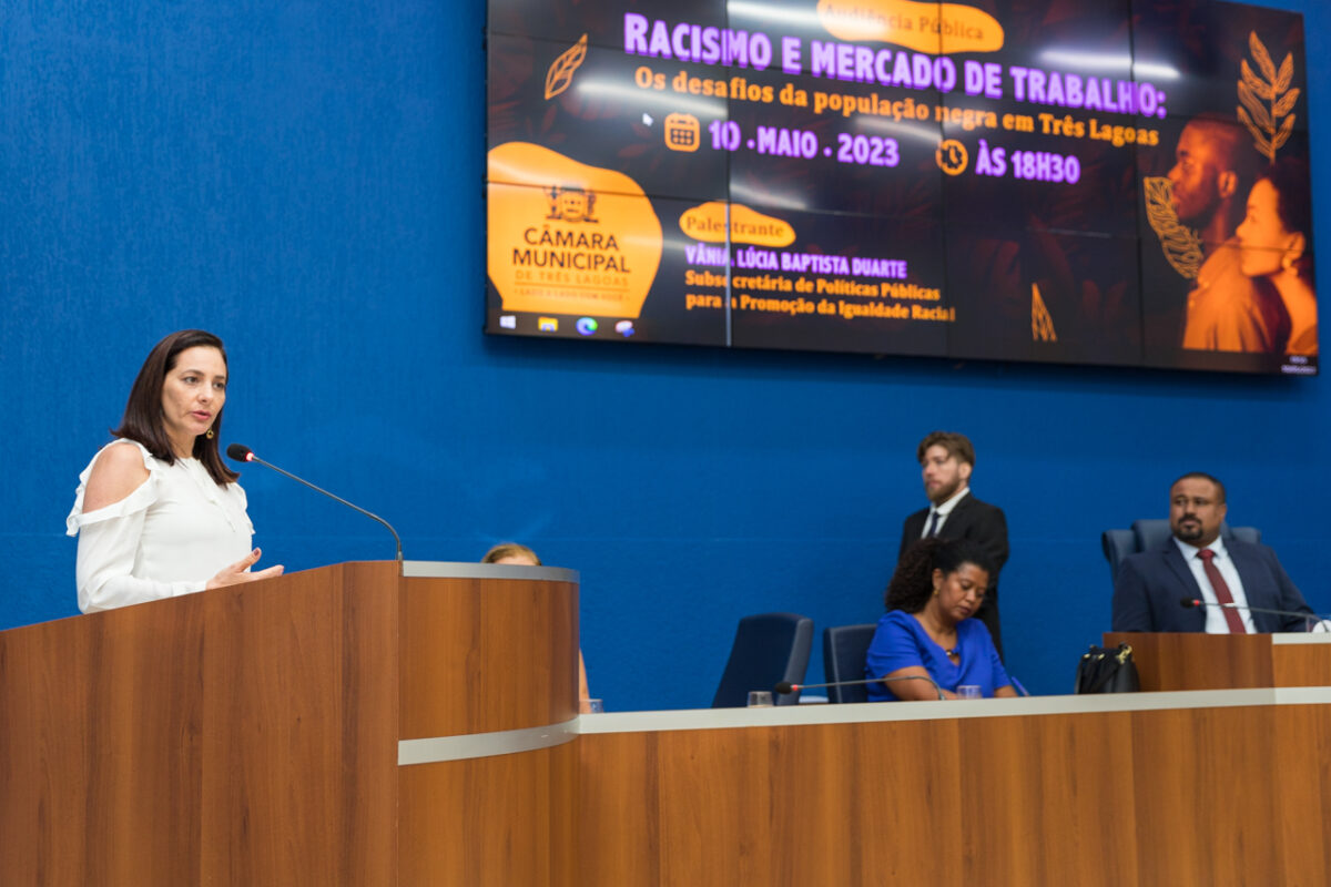 Racismo e mercado de trabalho em pauta durante audiência pública na Câmara Racismo e mercado de trabalho em pauta durante audiência pública na Câmara