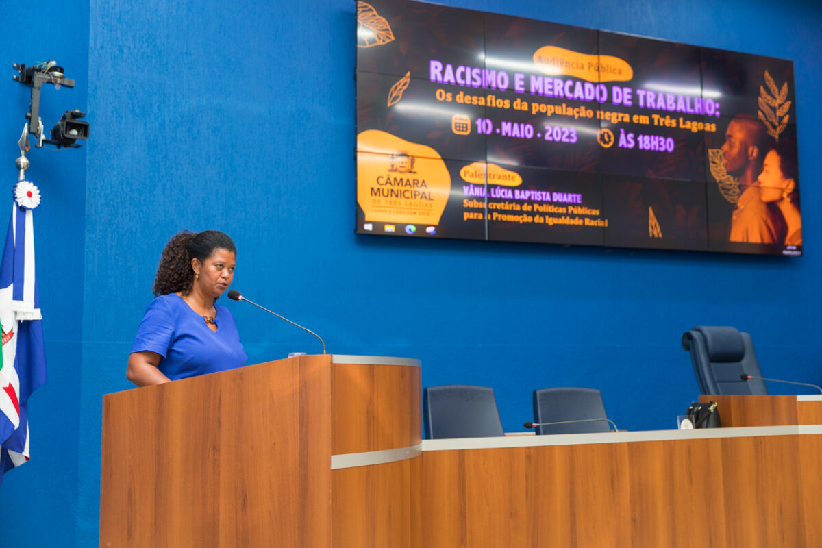 Racismo e mercado de trabalho em pauta durante audiência pública na Câmara Racismo e mercado de trabalho em pauta durante audiência pública na Câmara