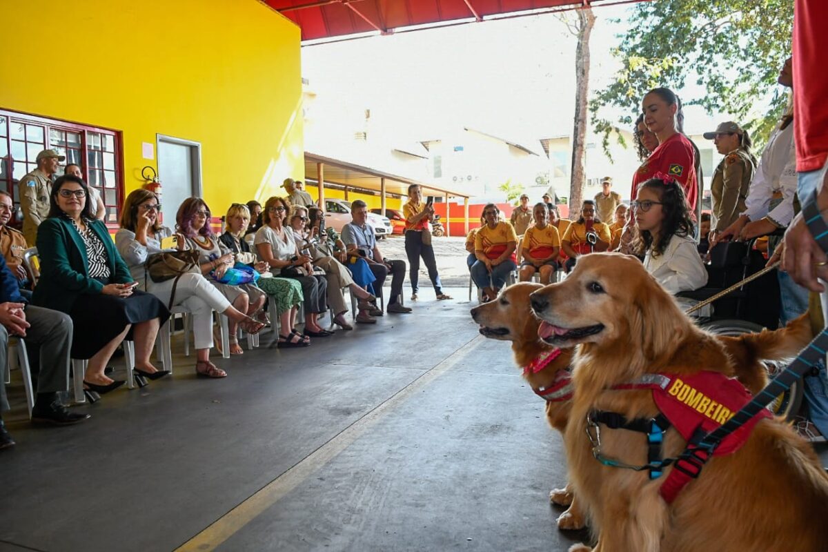 Cultura, turismo, artesanato e projetos sociais de MS são apresentados para comitiva diplomática da UE Cultura, turismo, artesanato e projetos sociais de MS são apresentados para comitiva diplomática da UE