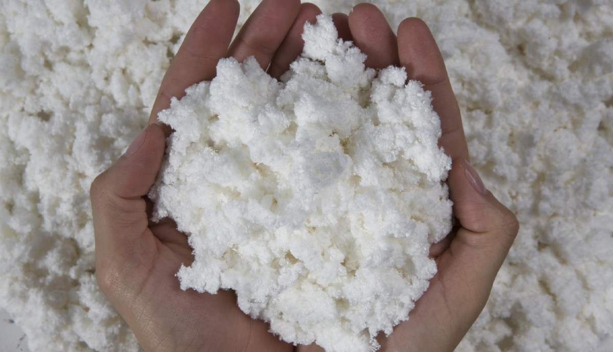 CELULOSE: o que a célula de eucalipto tem a ver com o lençol e o papel higiênico que usamos no dia a dia? CELULOSE: o que a célula de eucalipto tem a ver com o lençol e o papel higiênico que usamos no dia a dia?