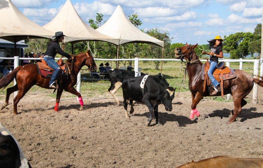 Ranch Sorting “Estância Rebucci” supera expectativas e atrai mais de 700 pessoas Ranch Sorting “Estância Rebucci” supera expectativas e atrai mais de 700 pessoas