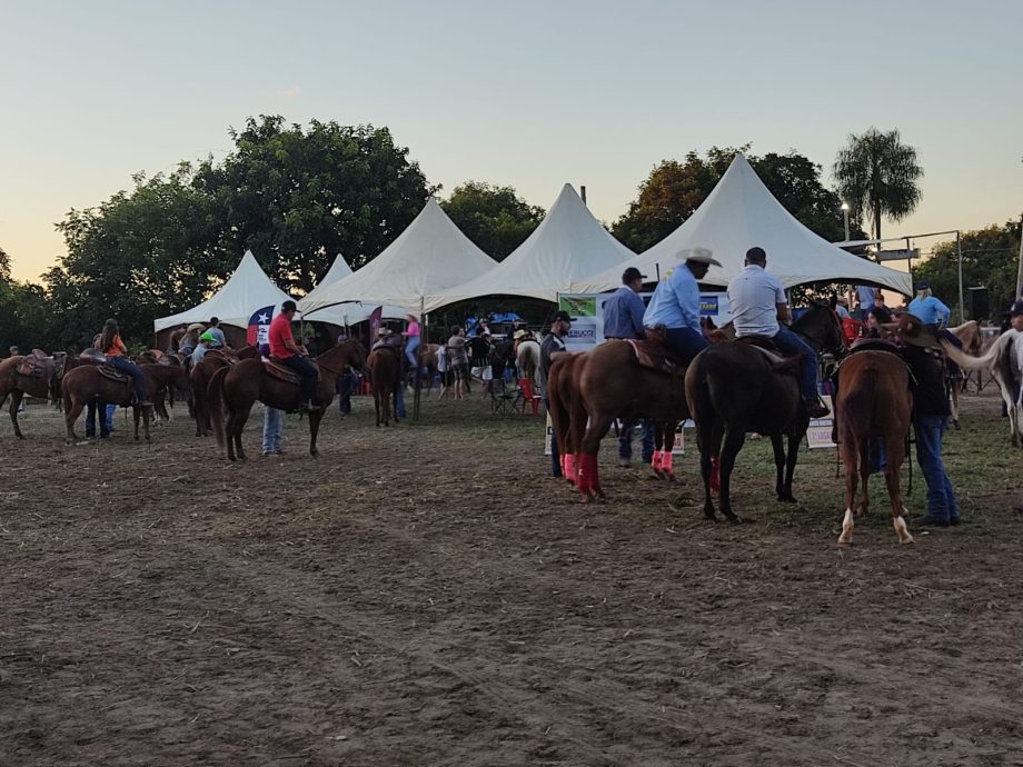 Ranch Sorting “Estância Rebucci” supera expectativas e atrai mais de 700 pessoas Ranch Sorting “Estância Rebucci” supera expectativas e atrai mais de 700 pessoas