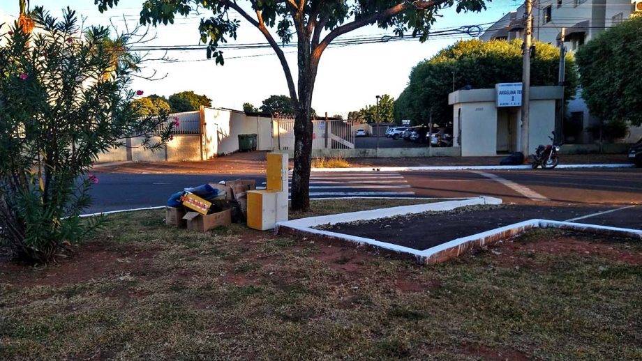 Meio Ambiente quer combater descarte de lixo, plantio irregular e fixação de placas nos canteiros centrais de TL Meio Ambiente quer combater descarte de lixo, plantio irregular e fixação de placas nos canteiros centrais de TL