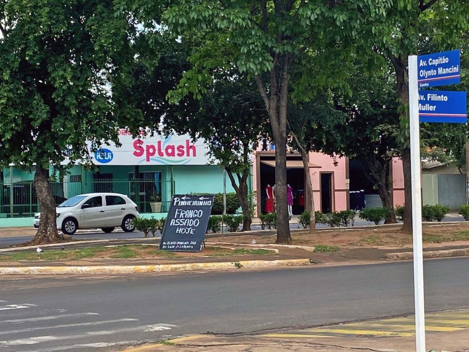 Meio Ambiente quer combater descarte de lixo, plantio irregular e fixação de placas nos canteiros centrais de TL Meio Ambiente quer combater descarte de lixo, plantio irregular e fixação de placas nos canteiros centrais de TL